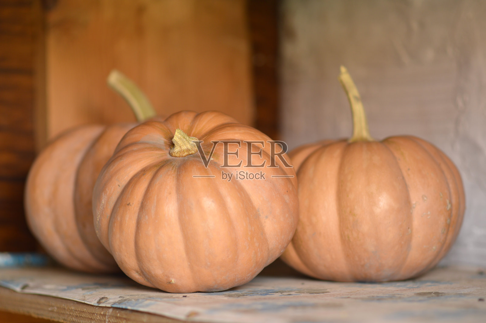 一堆成熟的南瓜特写照片摄影图片