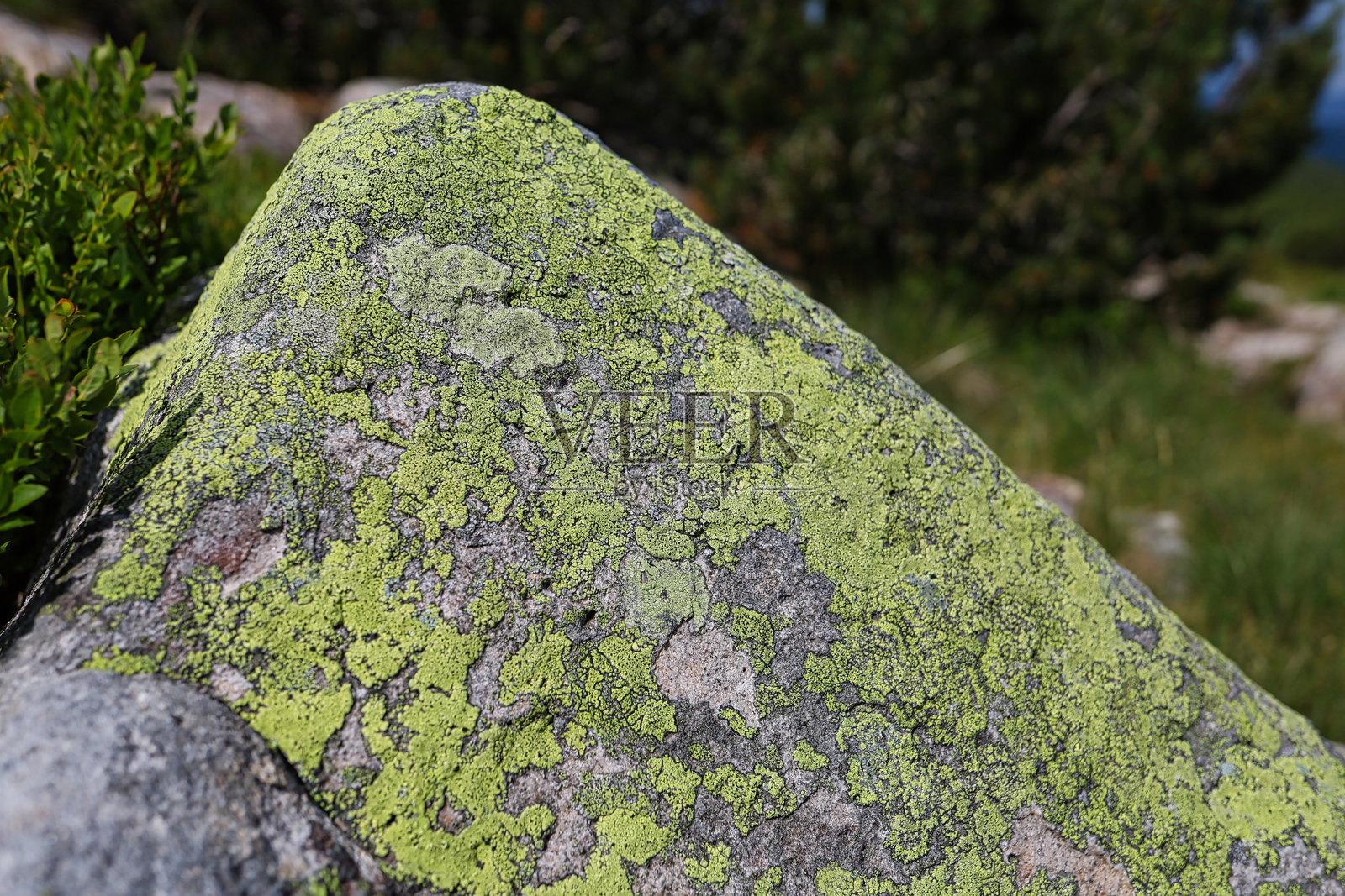 特写镜头展示了一块覆盖着绿色苔藓的锥形山石。照片摄影图片