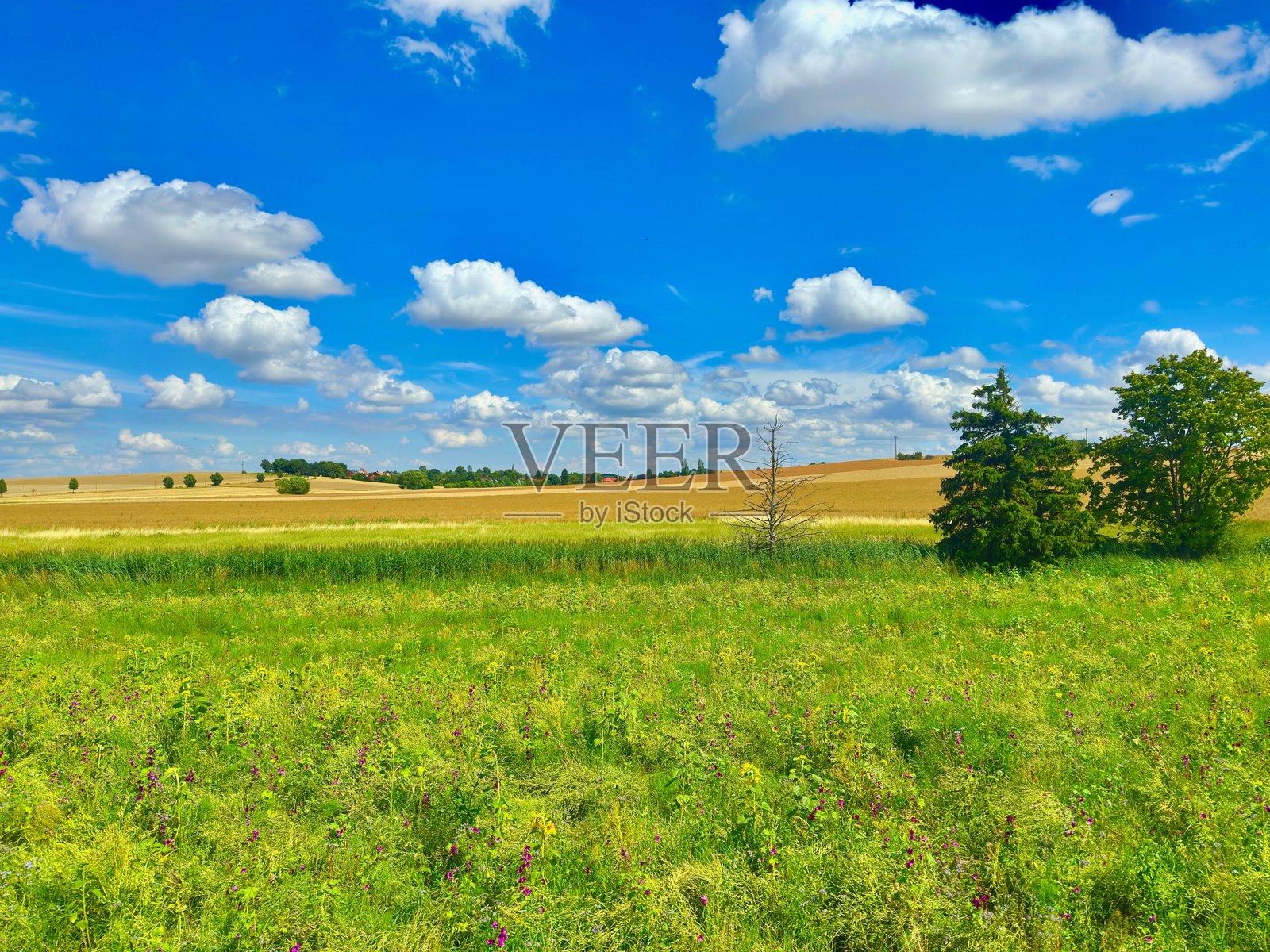 德国乡村照片摄影图片