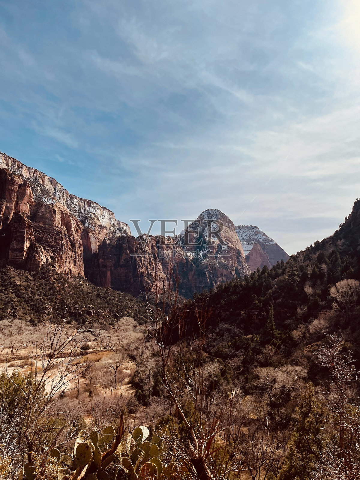 犹他州锡安国家公园翡翠池小径的景观照片摄影图片