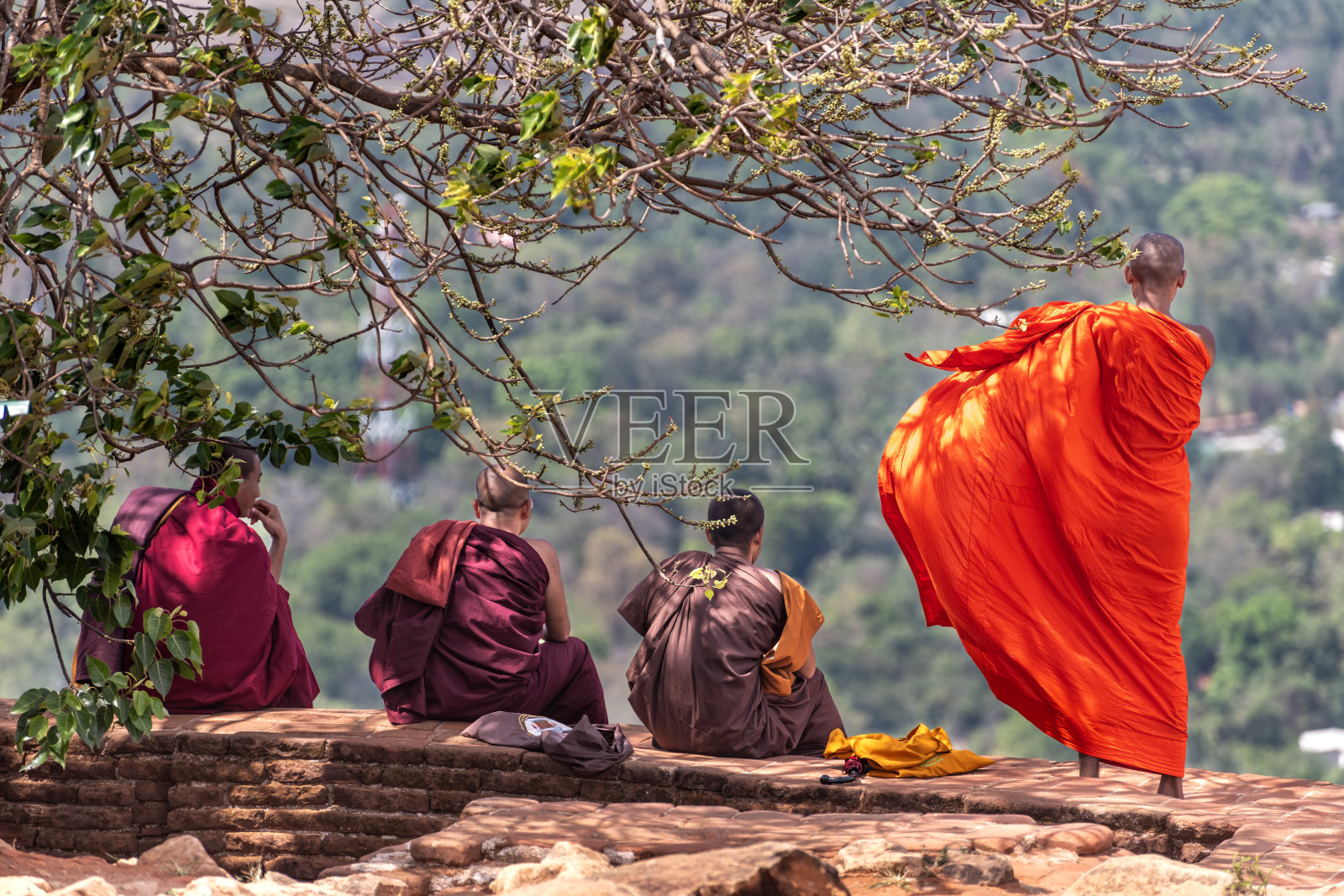 斯里兰卡僧侣在狮子岩照片摄影图片