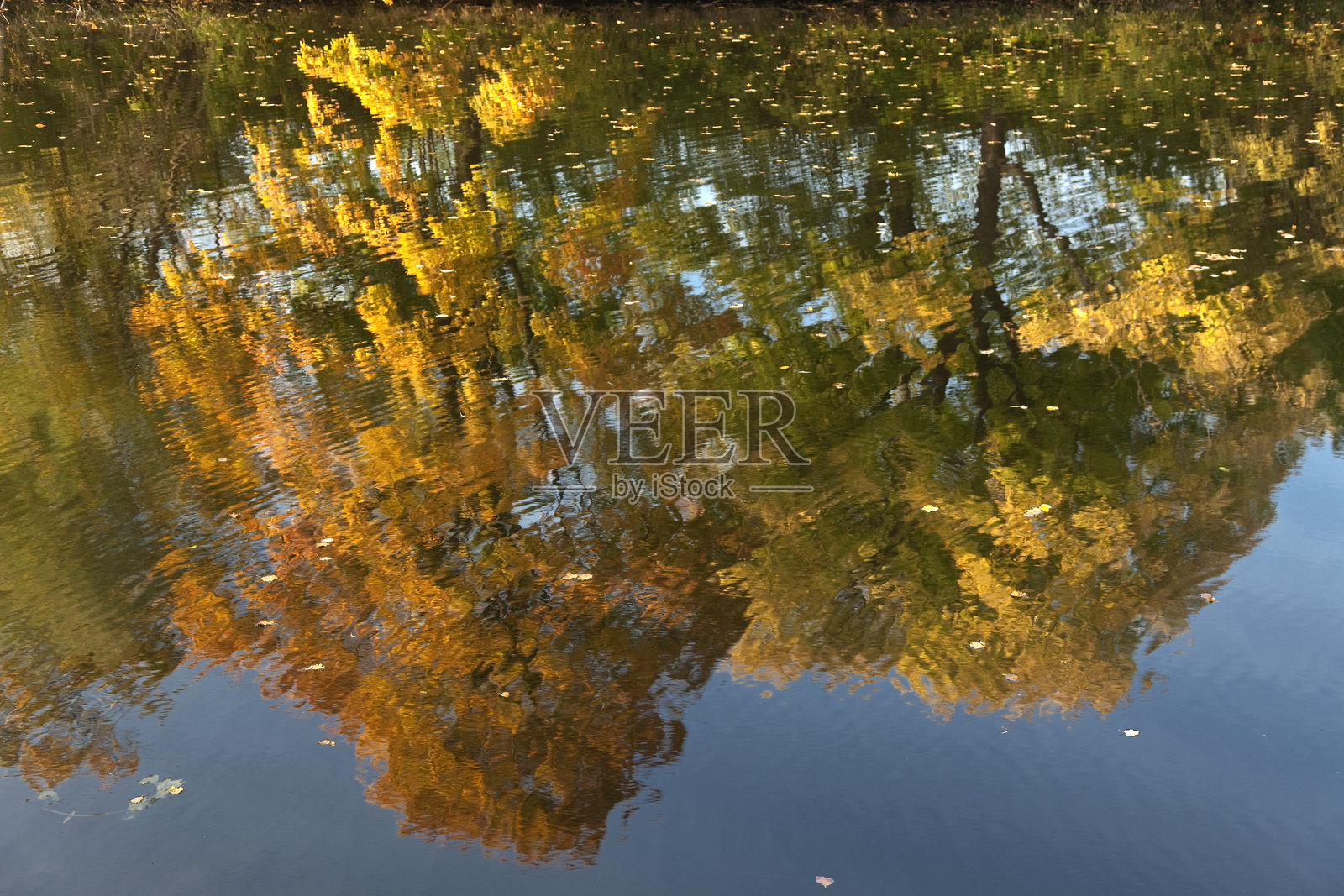 湖面上树木的倒影照片摄影图片