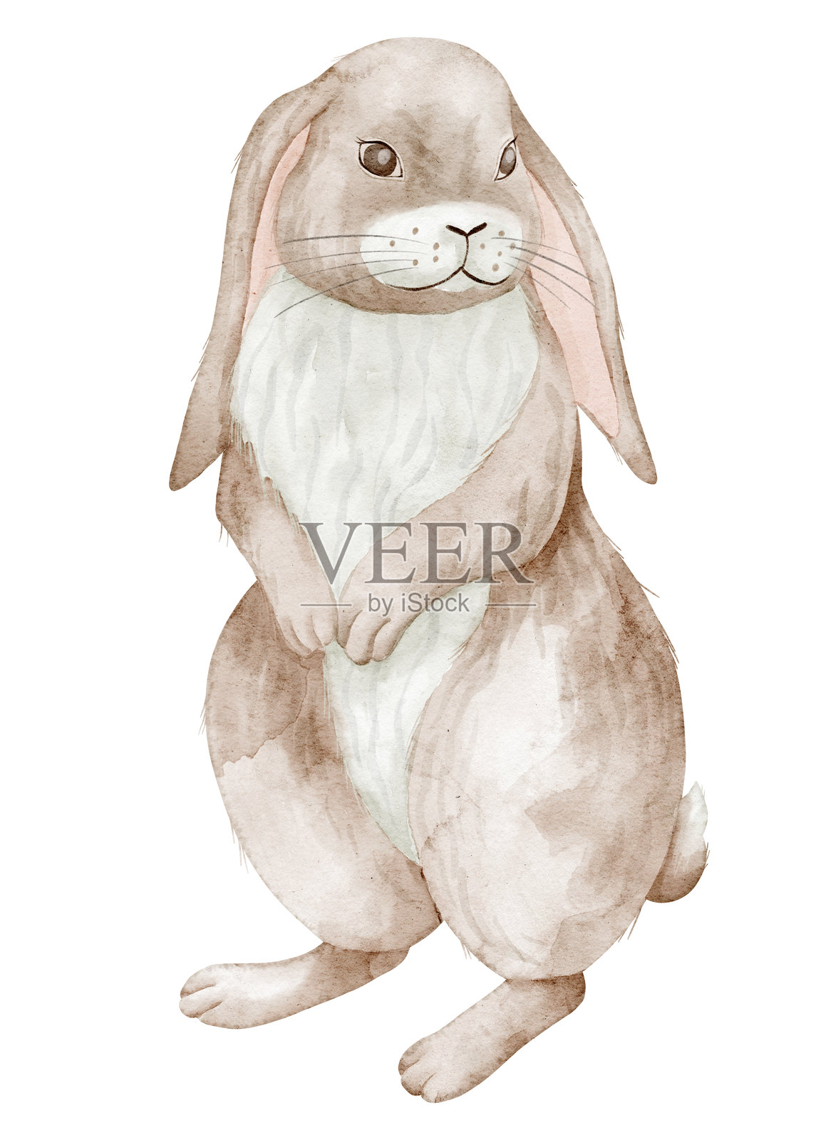 用水彩画的长耳兔子。适合儿童贺卡或婴儿洗礼邀请的森林动物插图。可爱兔子的艺术作品，适合幼儿园海报。森林小兔子的画作。插画图片素材