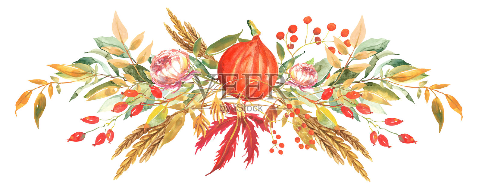 秋天插画图片素材