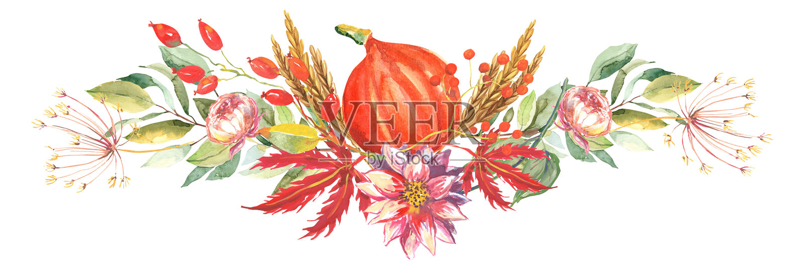 秋天插画图片素材