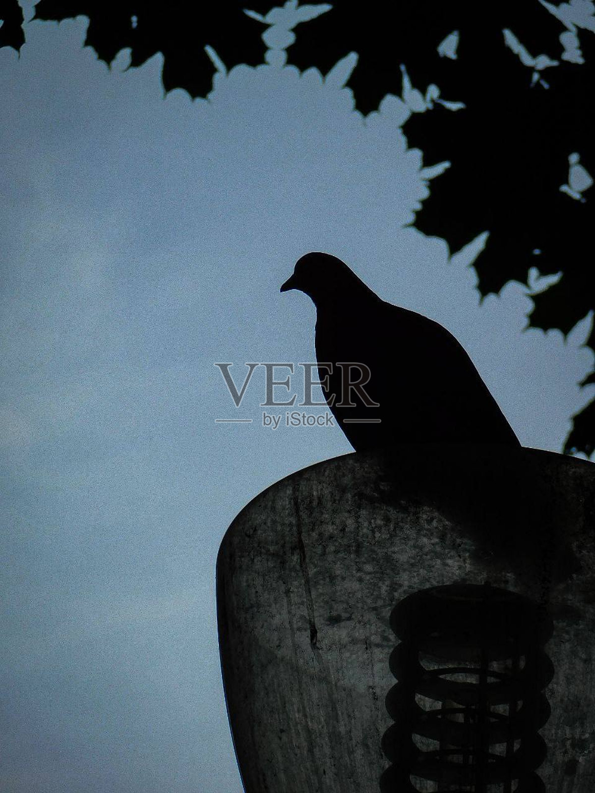 自然照片摄影图片