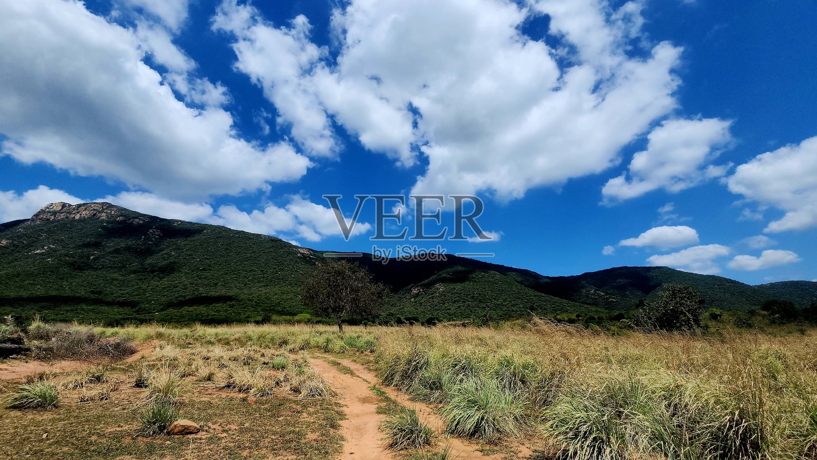 一条泥土小径穿过野生草丛，通向泰米尔纳德邦马杜赖的郁郁葱葱的绿色山丘，蔚蓝的天空中点缀着蓬松的白云，营造出宁静而如画的景象。照片摄影图片