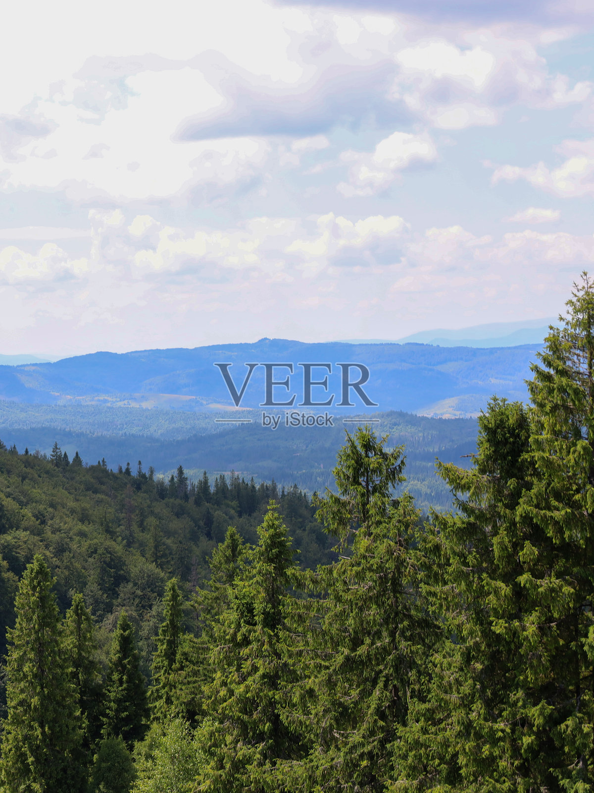 一幅风景如画的画面，起伏的山丘被茂密的针叶林覆盖，远处是朦胧的山脉。云彩在头顶漂浮，照亮了这片广阔而宁静的景观。照片摄影图片
