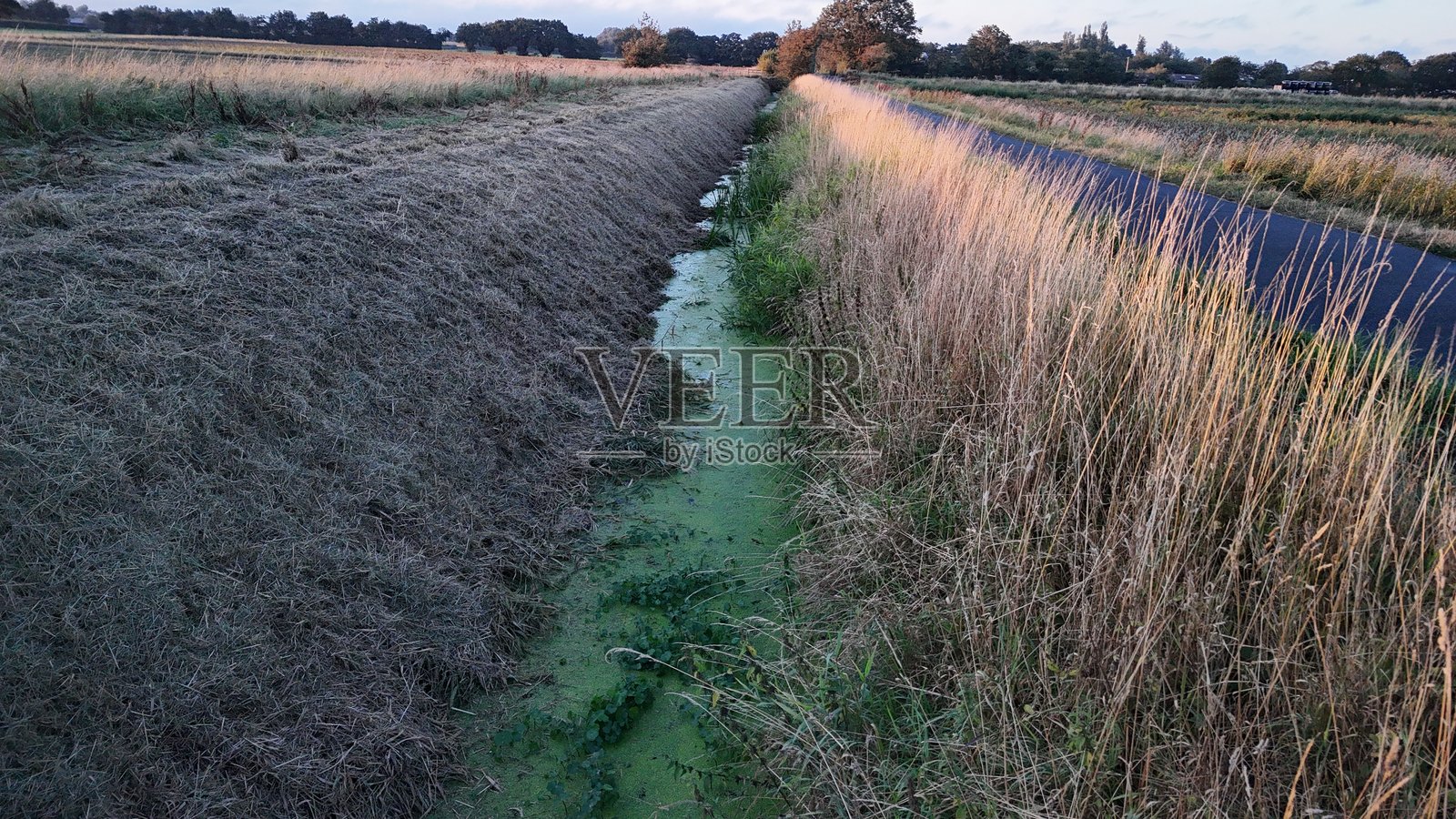 绿色溪流照片摄影图片