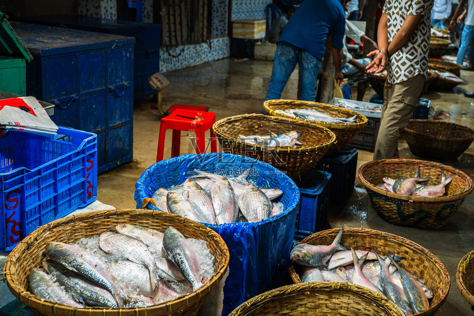 希尔萨鱼，南亚的美味佳肴，在孟加拉国达卡的当地市场出售。这些鱼被放在冰上，装在传统的柳条篮子和蓝色塑料箱中，准备出售给顾客。市场热闹非凡，充满了活力。照片摄影图片