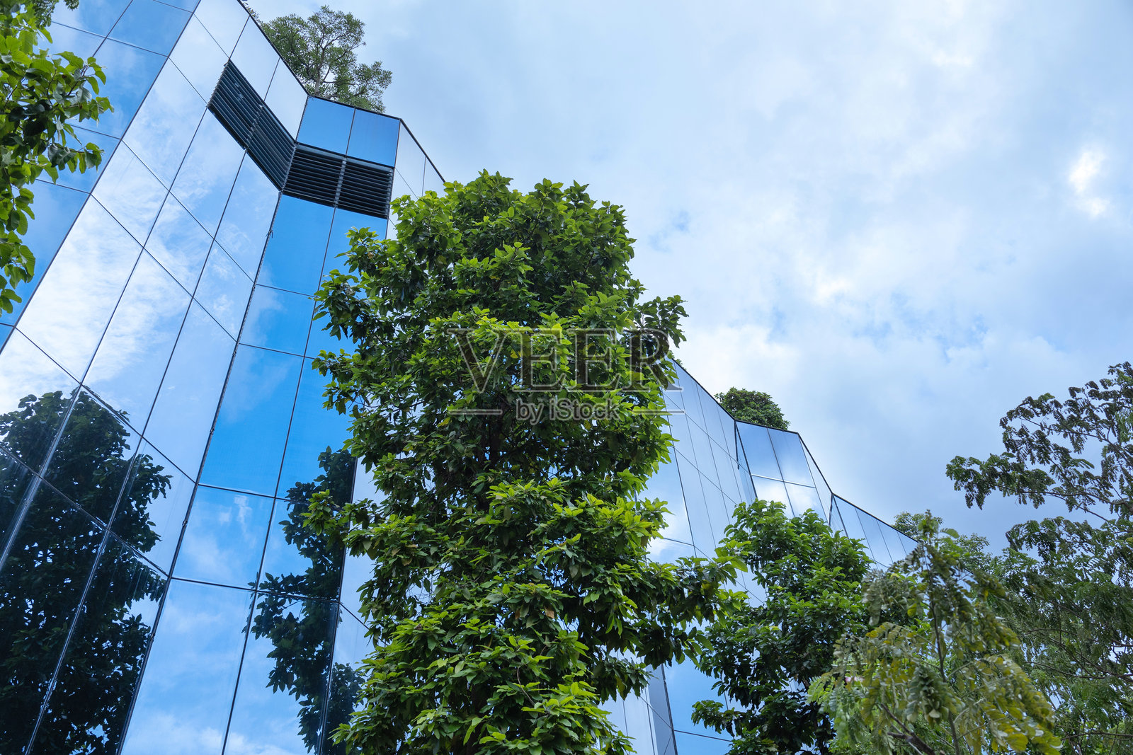 绿色生活与商业理念，净零排放，碳中和。照片摄影图片