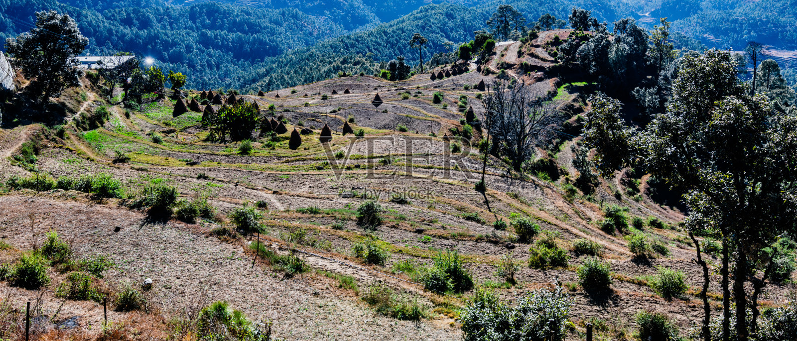 印度乌塔拉坎德的喜马拉雅风光照片摄影图片