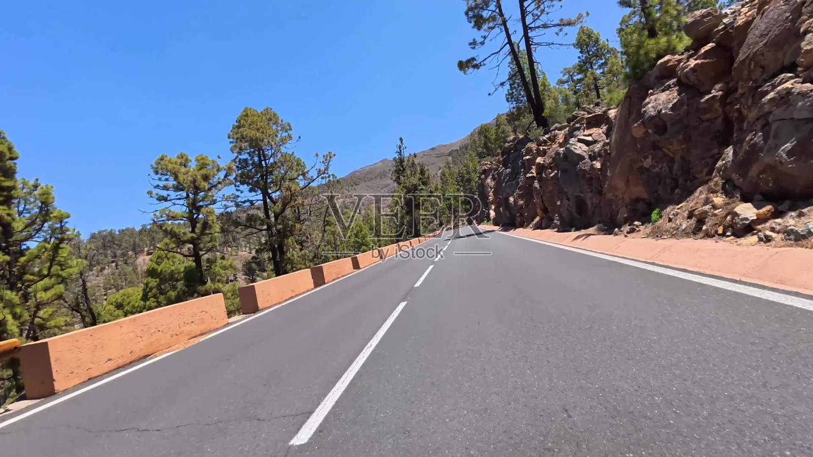 享受沿着蜿蜒穿过美丽郁郁葱葱森林的山路风景驾驶照片摄影图片