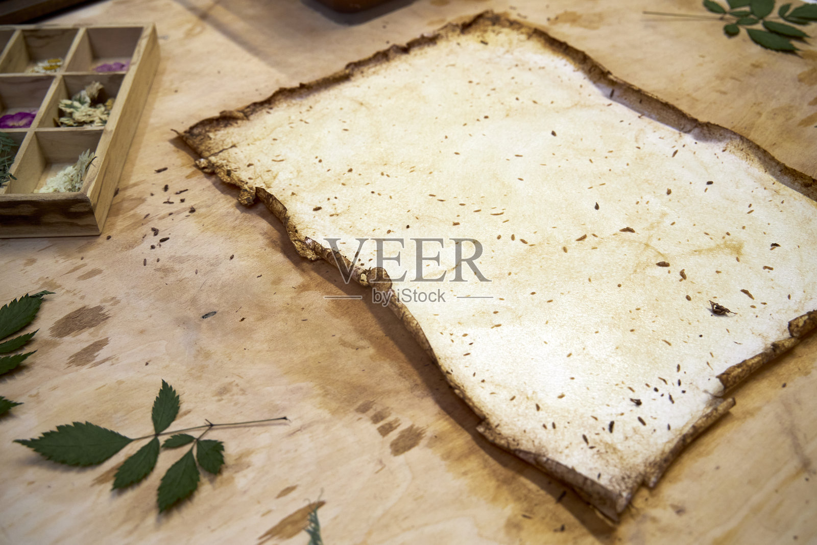 一个创意植物项目，展示了压制和干燥的花朵、手工纸和艺术工具，展示了制作标本和花卉工艺品的过程，使用自然的、保存的植物。照片摄影图片