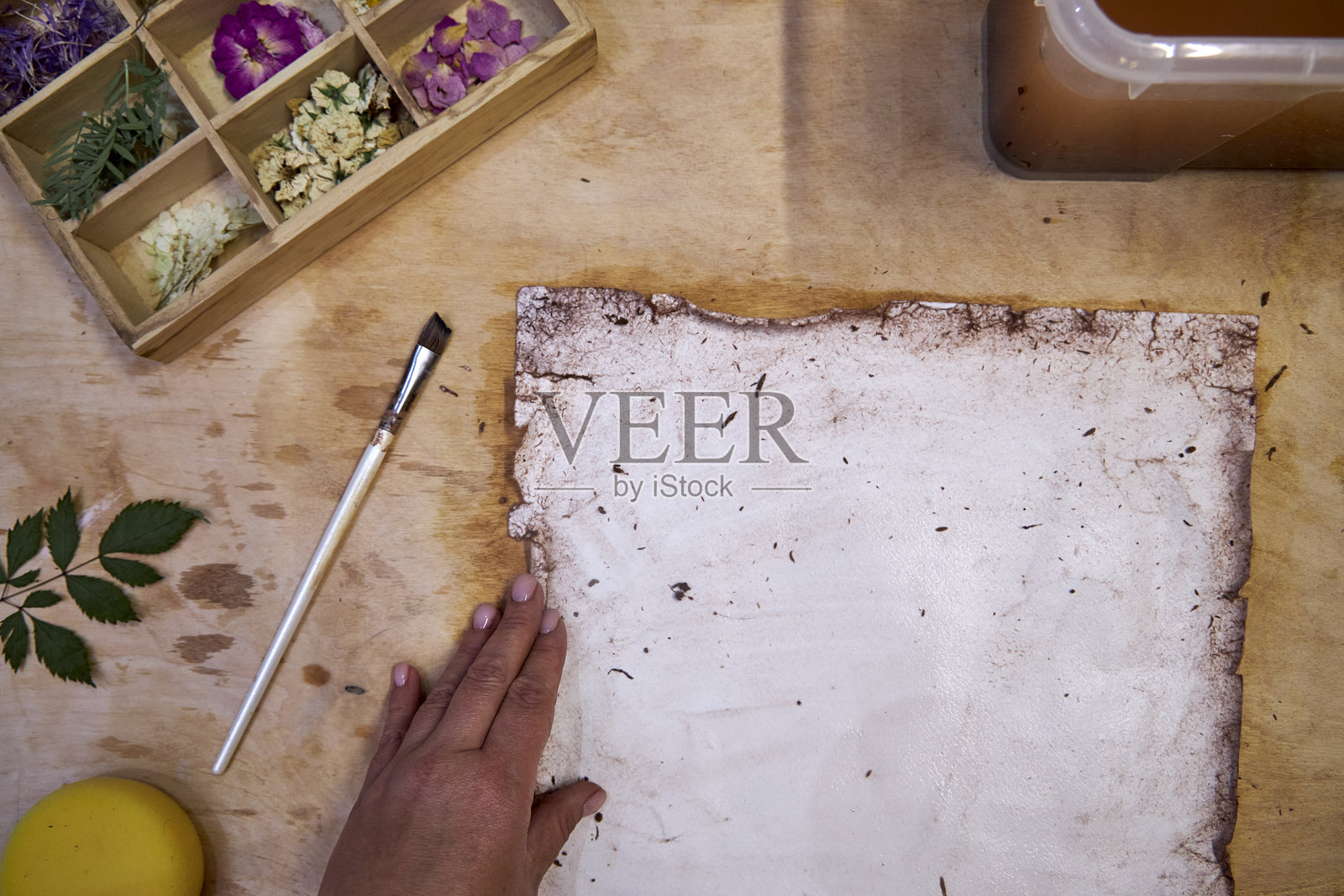 一只手触摸着一张边缘褐色的手工纸，纸张放在木桌上，旁边有一个装着干花的盒子、一支画笔和绿色的叶子，属于植物艺术或标本项目的一部分。照片摄影图片