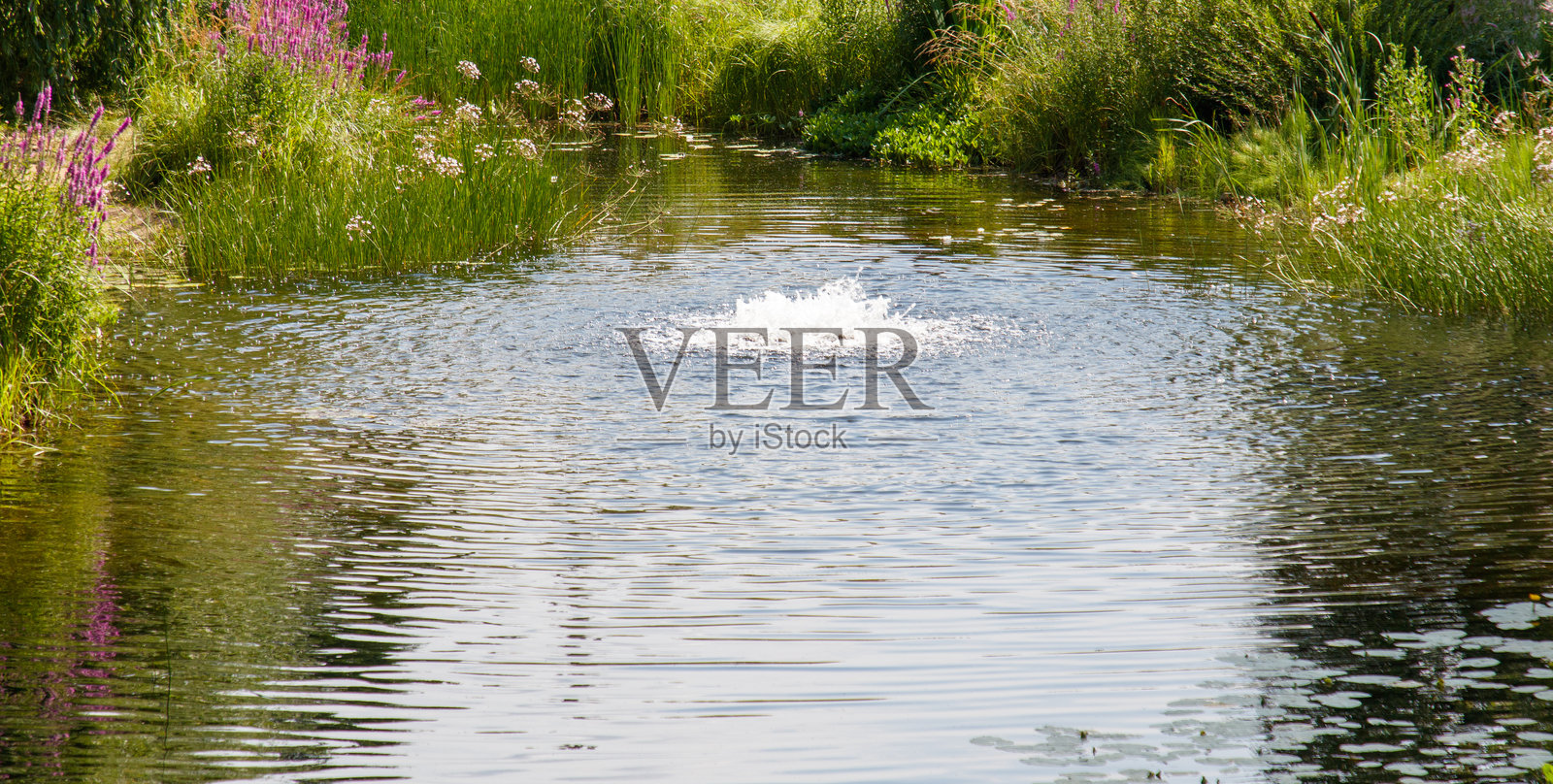 小溪中间有一个喷泉照片摄影图片