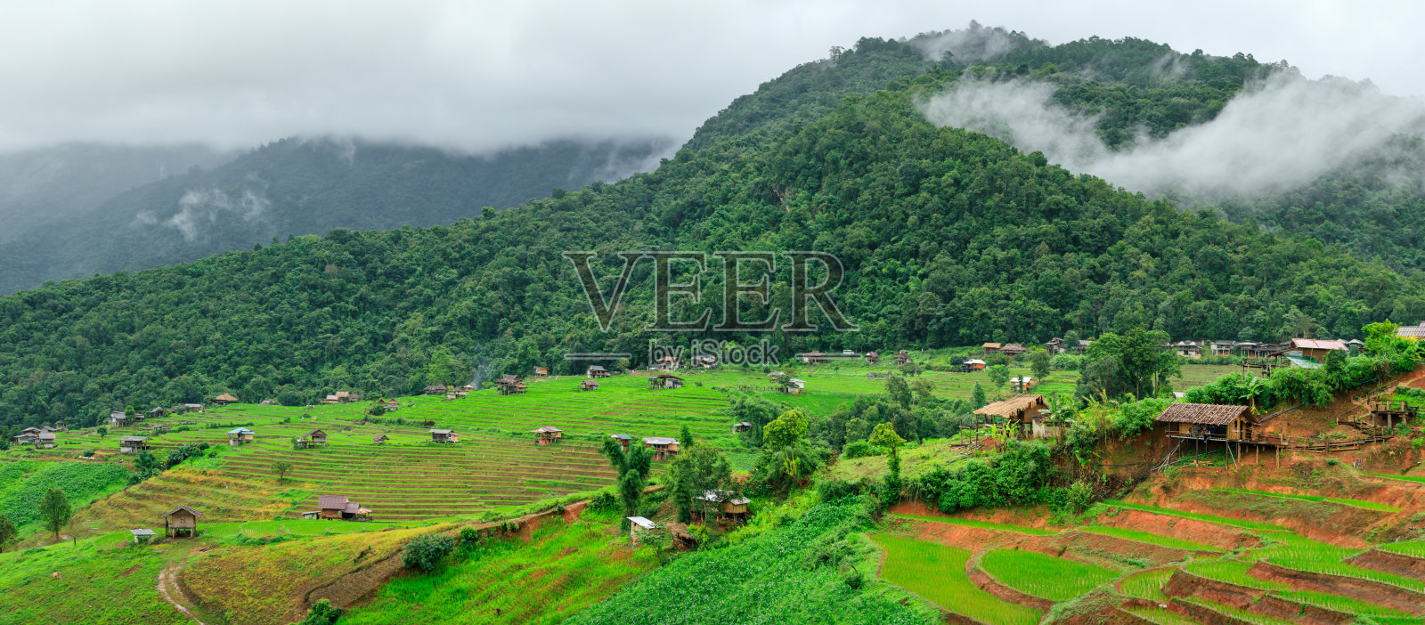 泰国清迈帕邦平昂的稻田梯田照片摄影图片