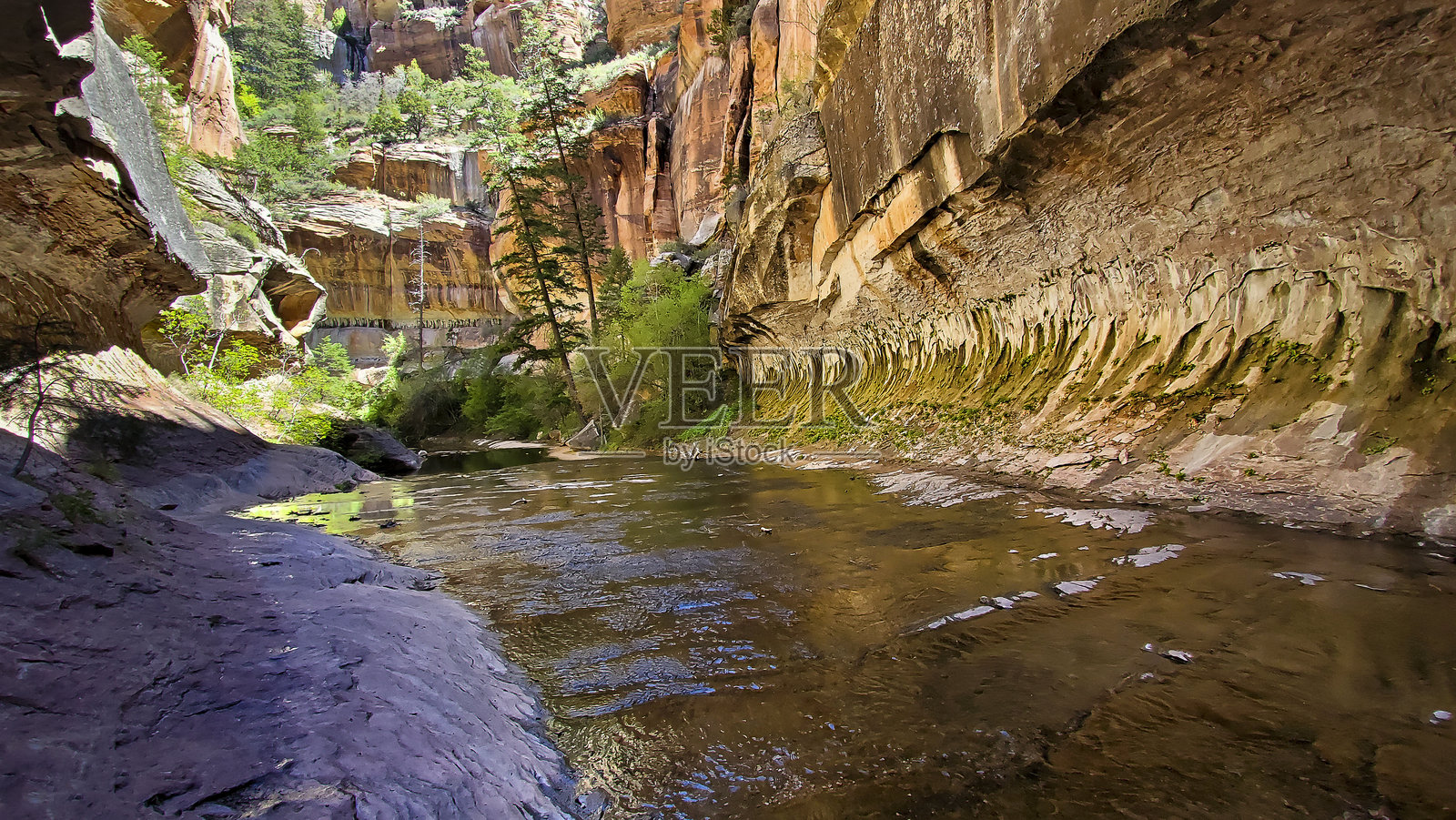 锡安国家公园的地铁照片摄影图片