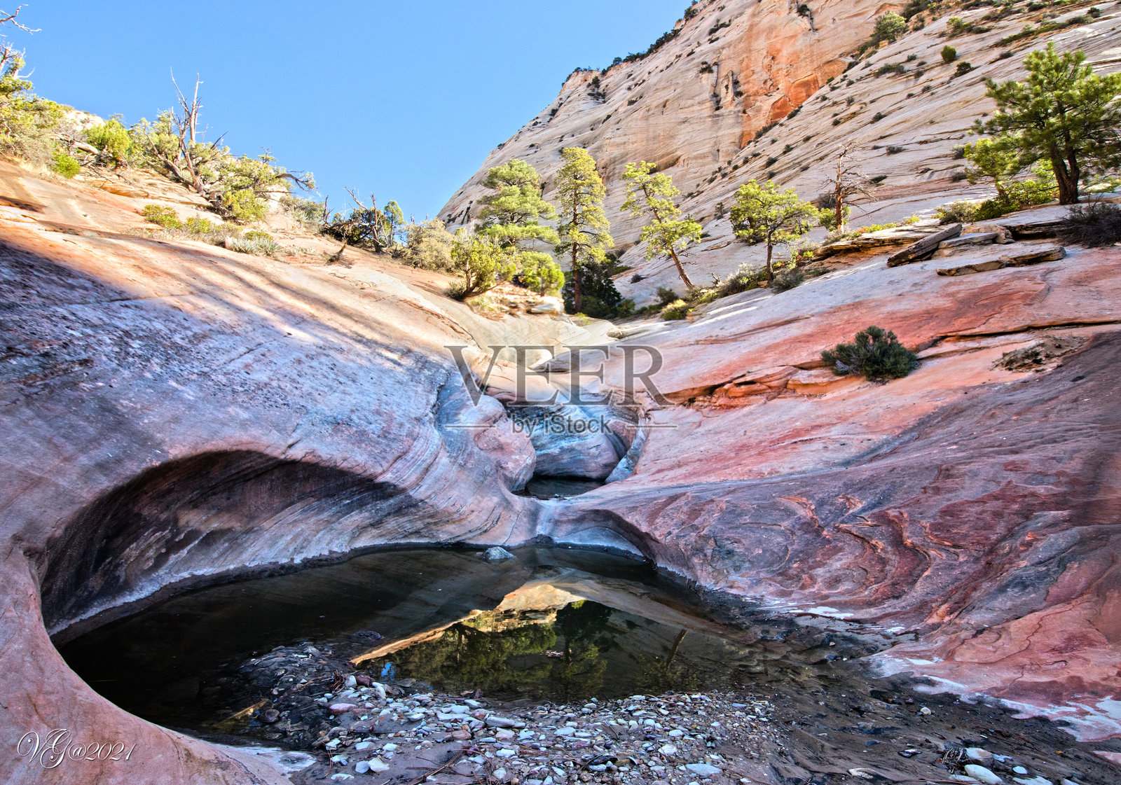 锡安国家公园照片摄影图片