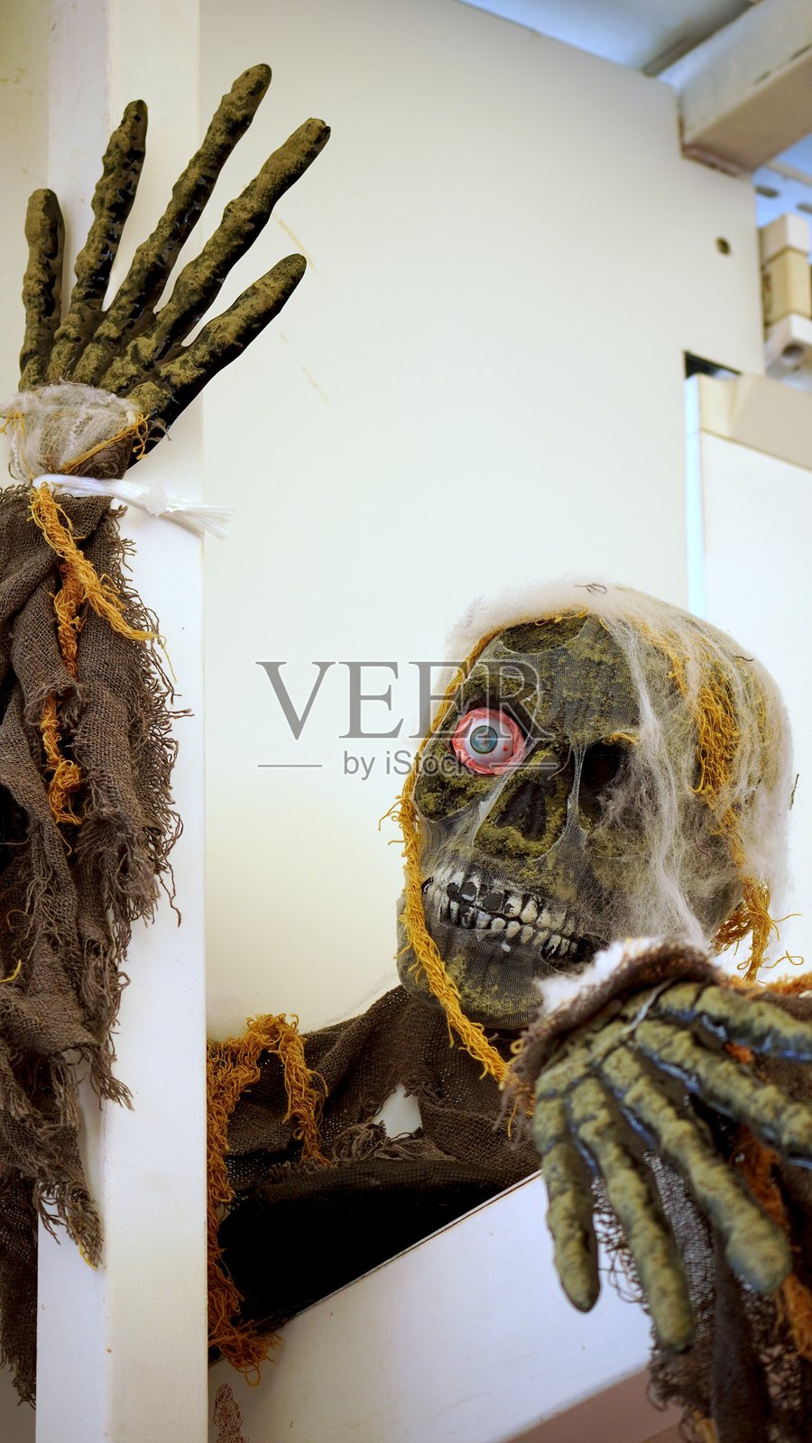 可怕的万圣节怪物骷髅悬挂在蜘蛛网中照片摄影图片