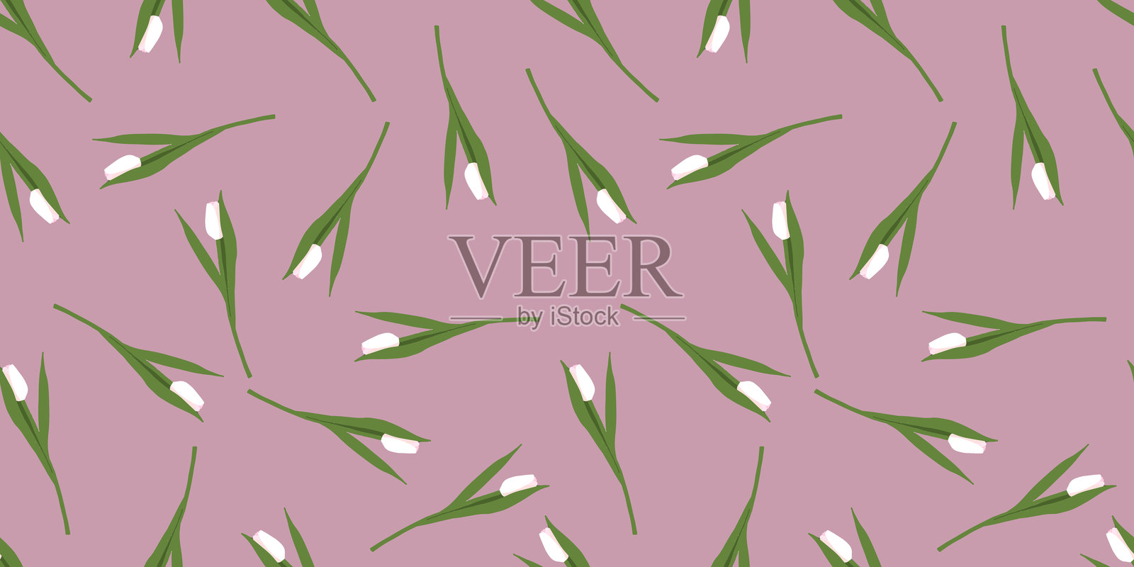 无缝图案，手绘白色郁金香。春天，3月8日背景插画图片素材