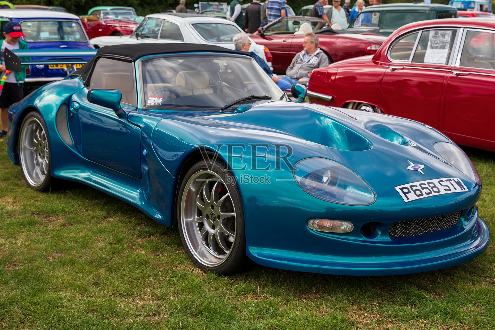 马尔科斯螳螂 - 1997年。照片摄影图片