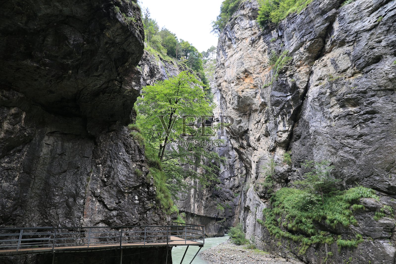 在瑞士阿尔卑斯山的梅里根附近的阿尔河峡谷照片摄影图片