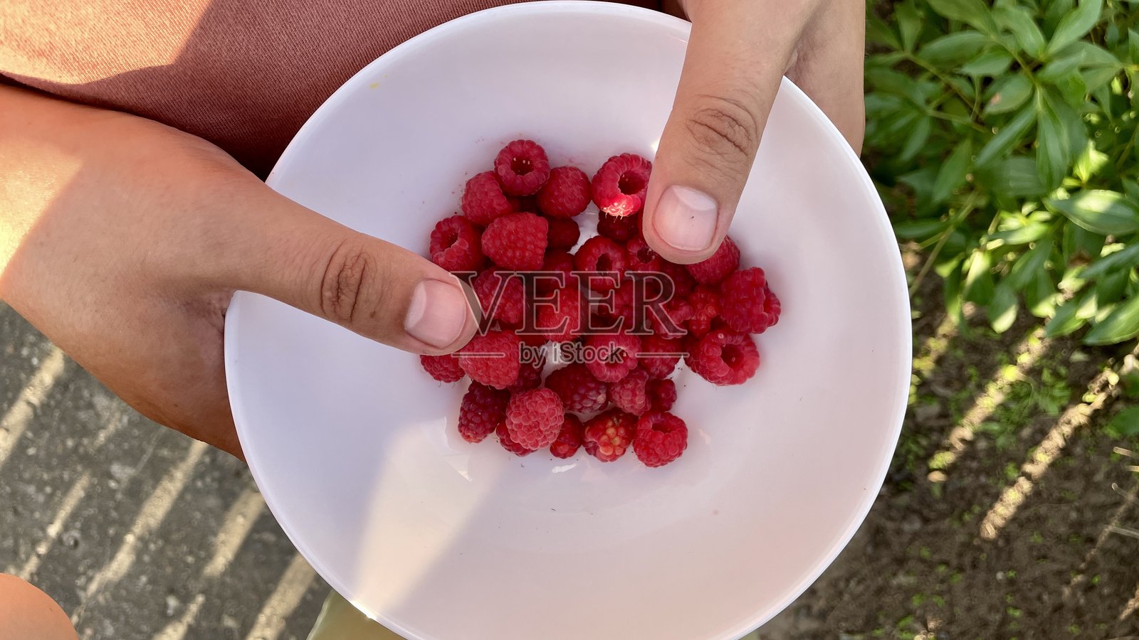 新鲜采摘的覆盆子放在白色碗里照片摄影图片