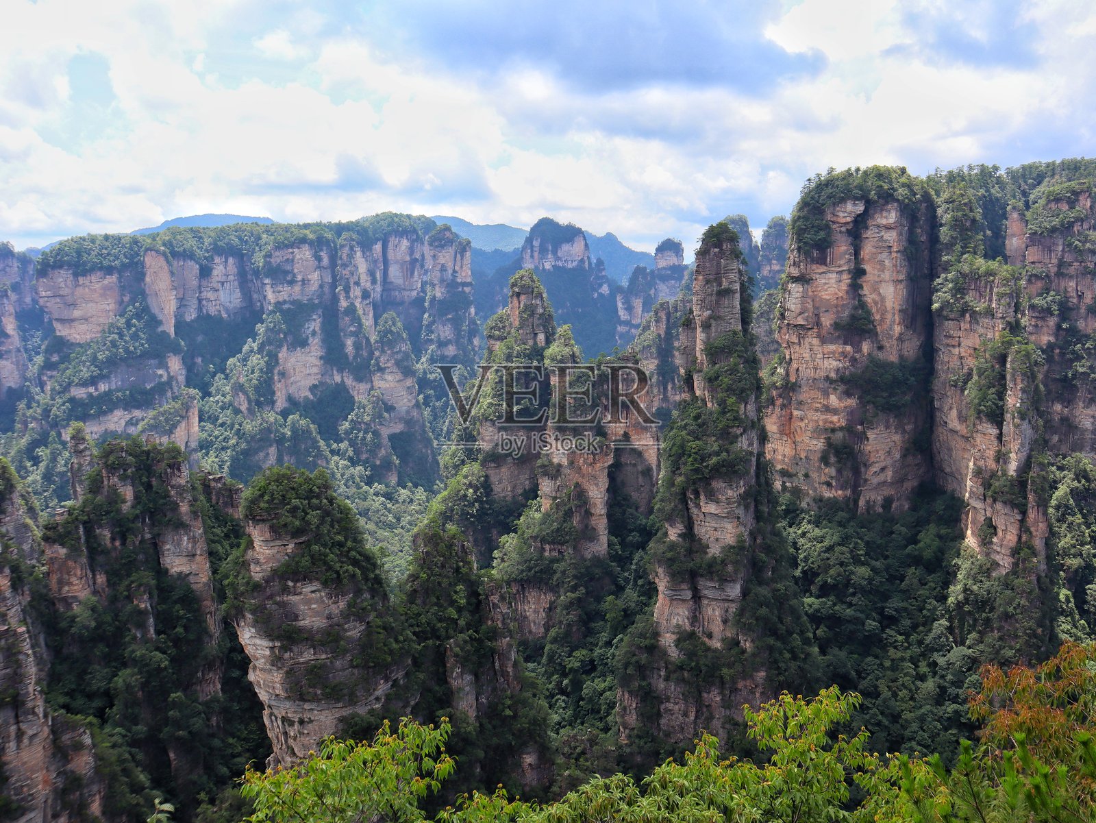 中国张家界国家森林公园的雄伟柱子，阿凡达山脉壮观的景观。照片摄影图片