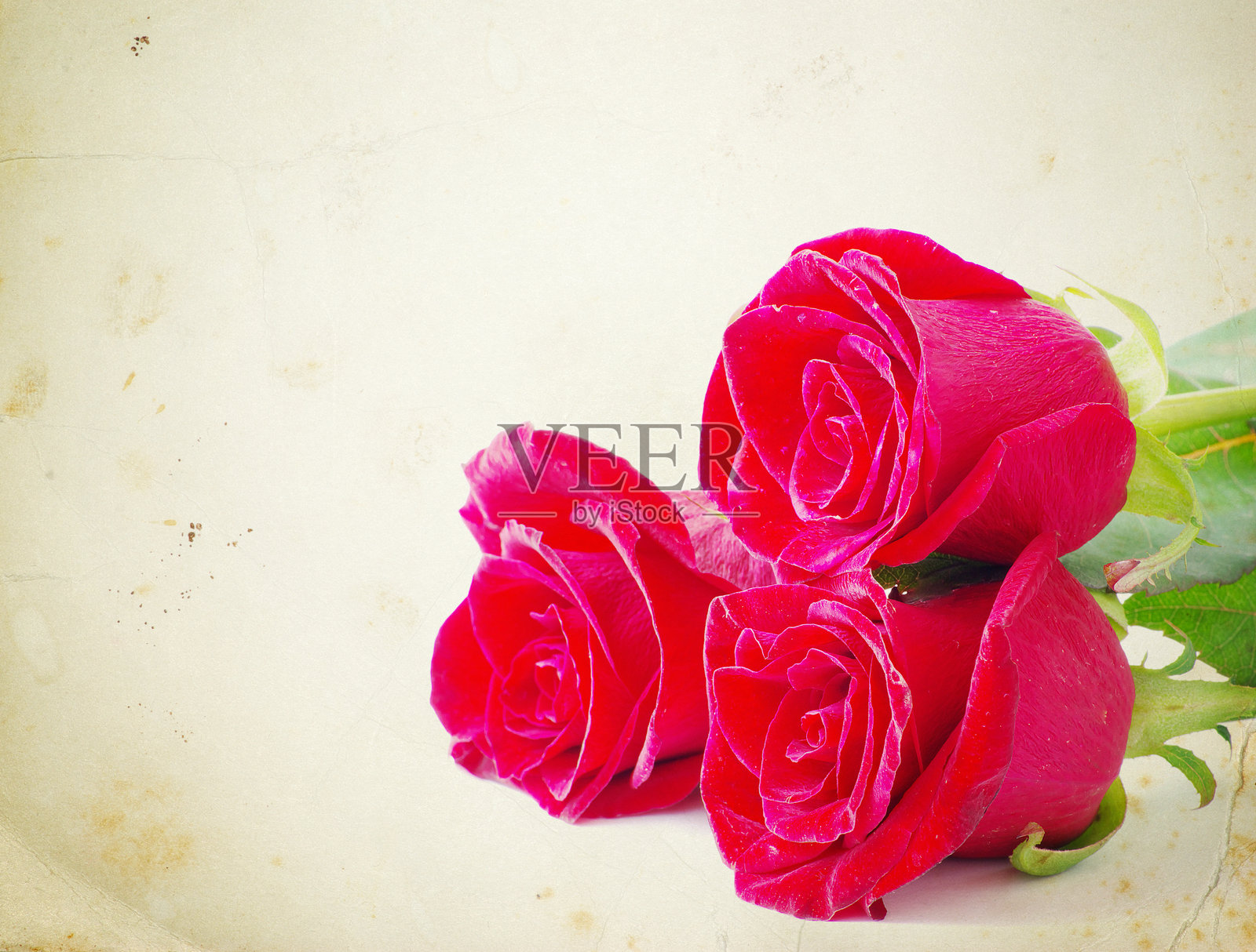 复古背景上的红玫瑰照片摄影图片