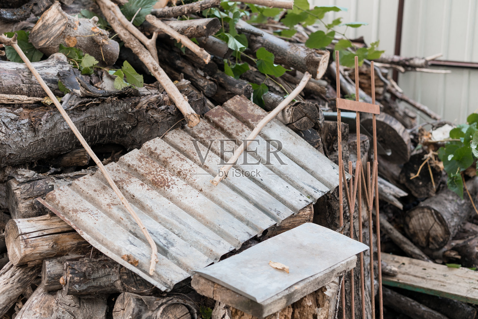 带有波纹金属细节的乡村木堆场景。一个棕色和灰色的自然景观，展示了原木、树枝和杂物，沐浴在自然光下。照片摄影图片
