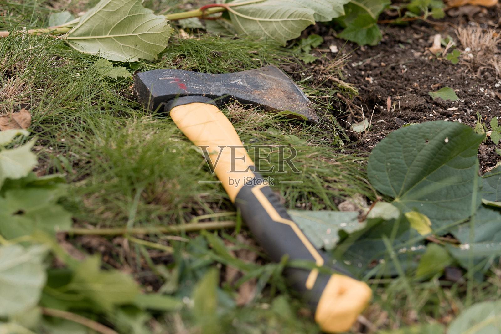 生锈的斧头静静地放在丰盛的绿色植物、黑色土壤之间，展现自然风光，户外环境，戏剧性的光线，静物摄影。照片摄影图片