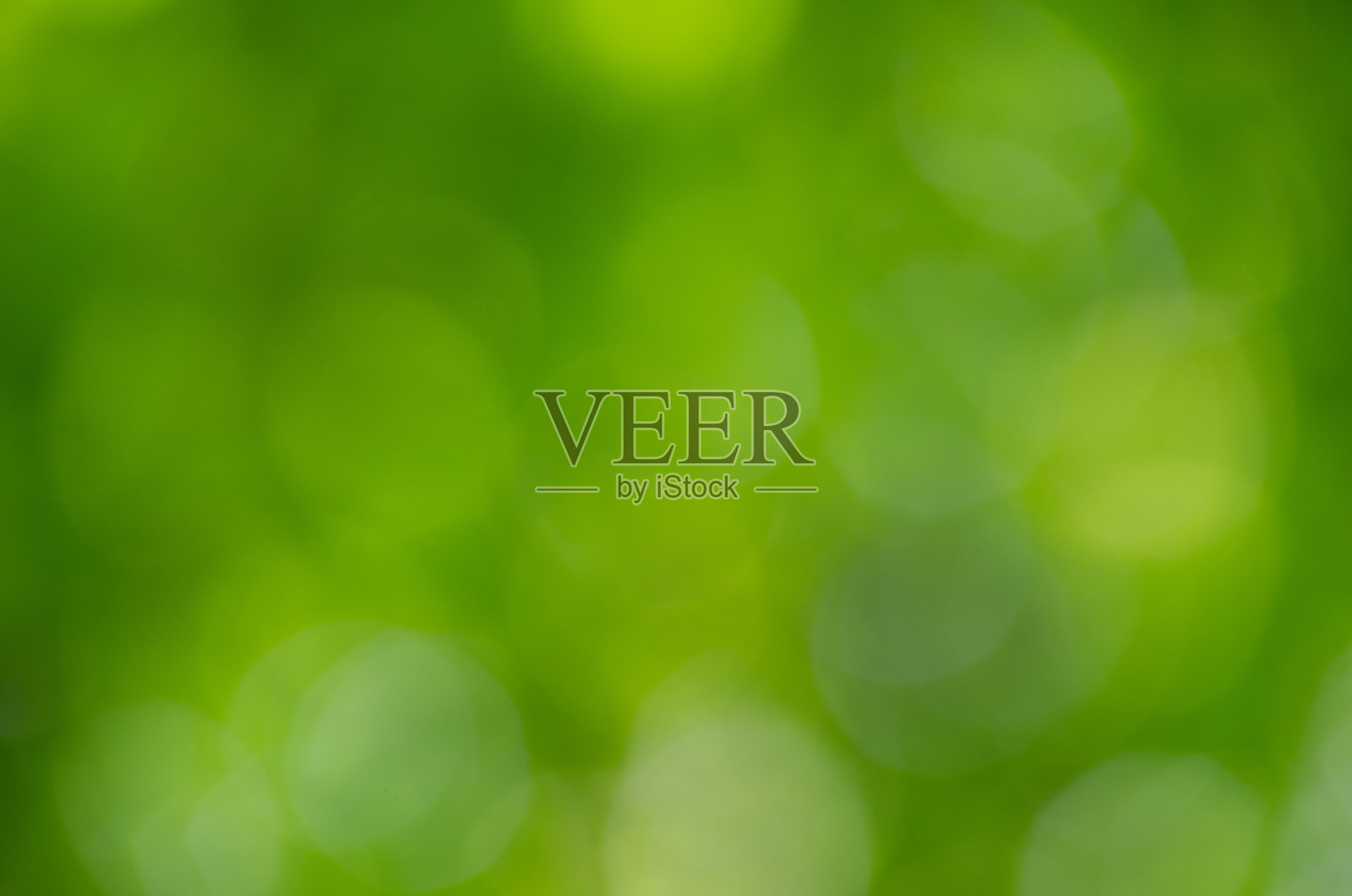 春季散景背景照片摄影图片