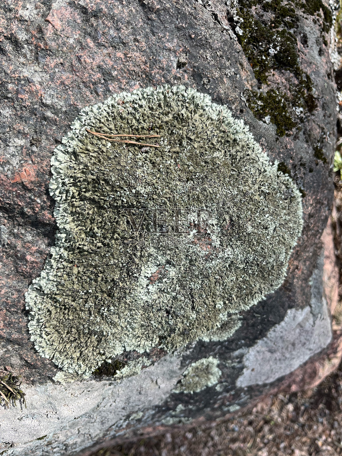 旅行假期自然照片摄影图片