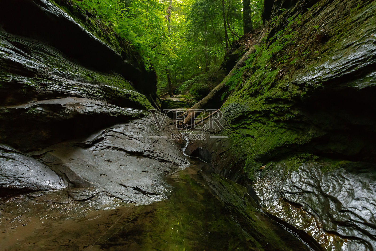 火鸡跑州立公园照片摄影图片