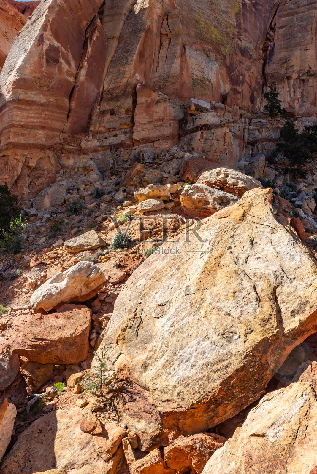 犹他州国会礁国家公园的景观照片摄影图片