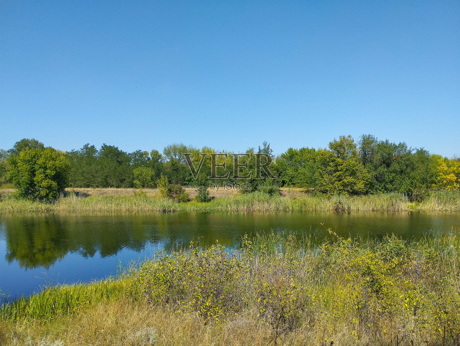 清澈的水面映照着对岸树木的绿色树冠。无云的蓝天横跨水面，为阳光明媚的秋日提供了一个完美的宁静自然度假景观。照片摄影图片