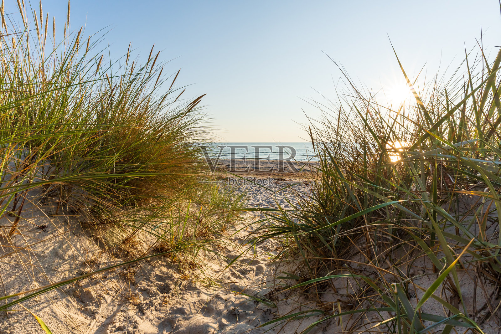 夏季的希登泽岛波罗的海海滩照片摄影图片