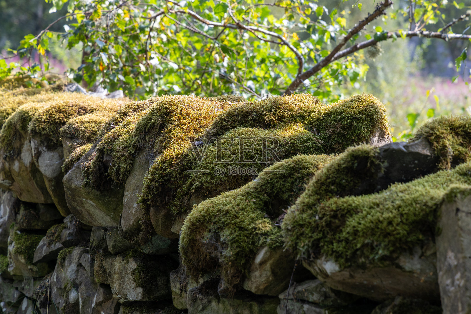 卡尔维恩，佩斯郡，苏格兰照片摄影图片