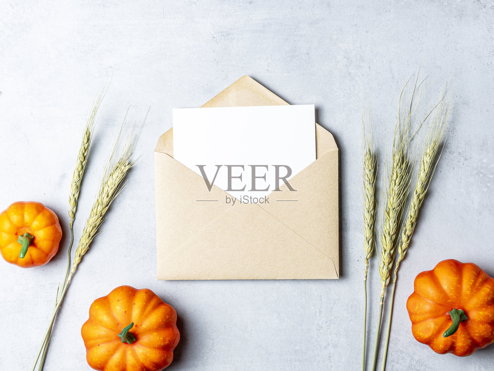 感恩节照片摄影图片