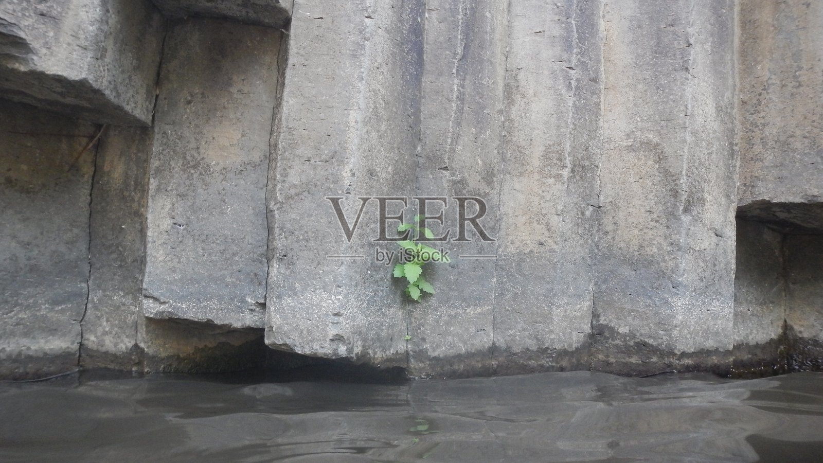 巴萨尔悬崖上的小树与梅舒希姆溪流照片摄影图片