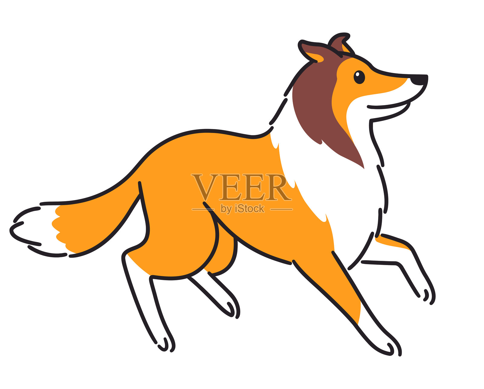 Cartoon Rough Collie dog drawing插画图片素材