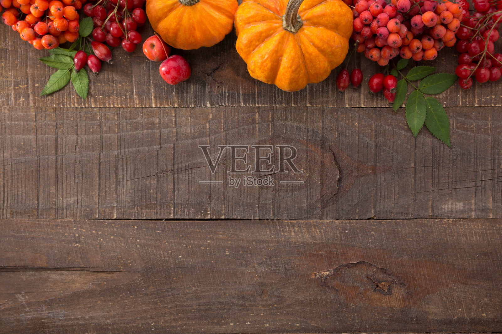 秋季或感恩节背景，配有南瓜、五味子浆果、玫瑰果浆果和山楂浆果。色彩斑斓的秋季蔬菜和浆果摆放在木桌上，留有空白空间。照片摄影图片