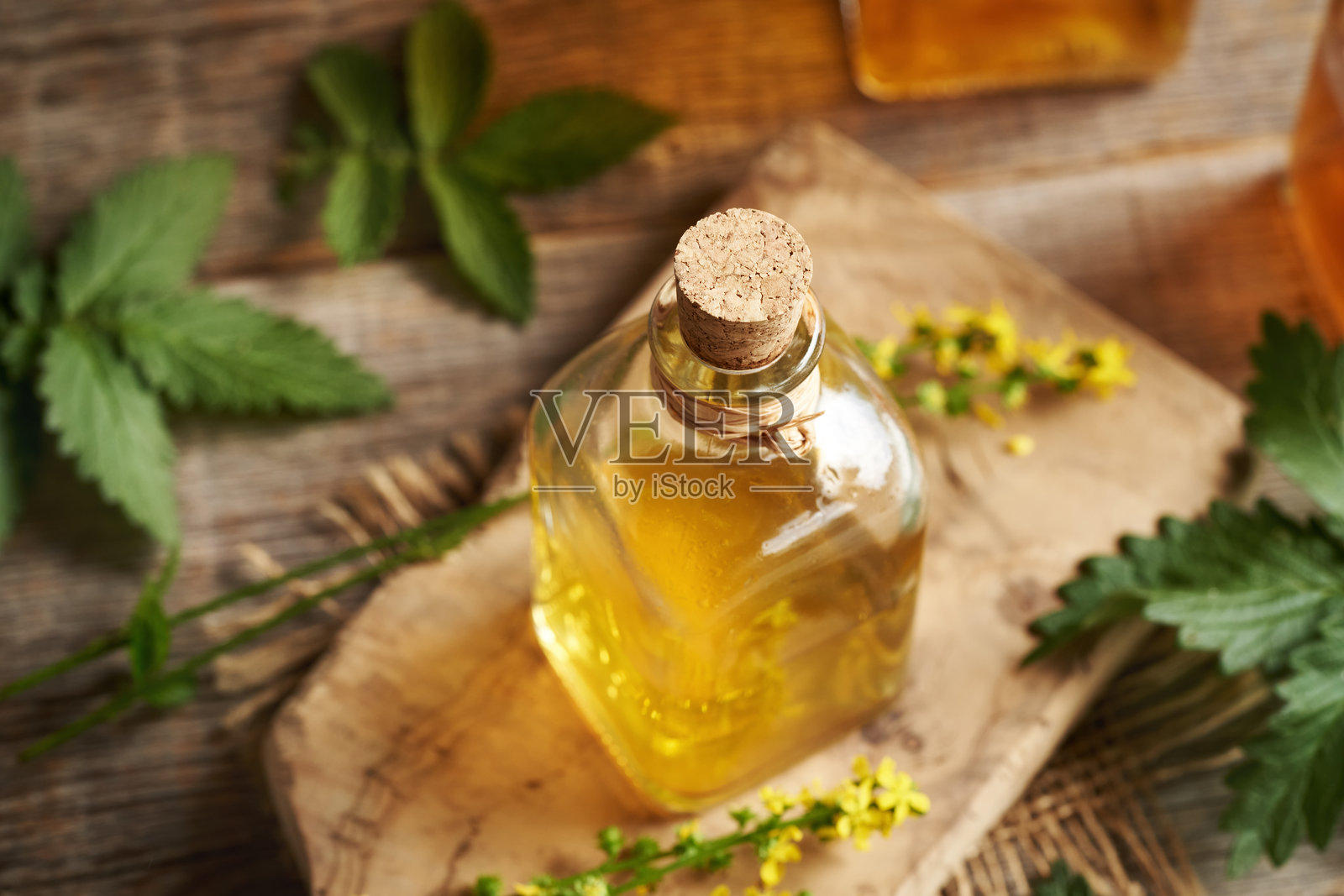 自制草药酊剂，桌上摆放着盛开的龙胆草植物照片摄影图片