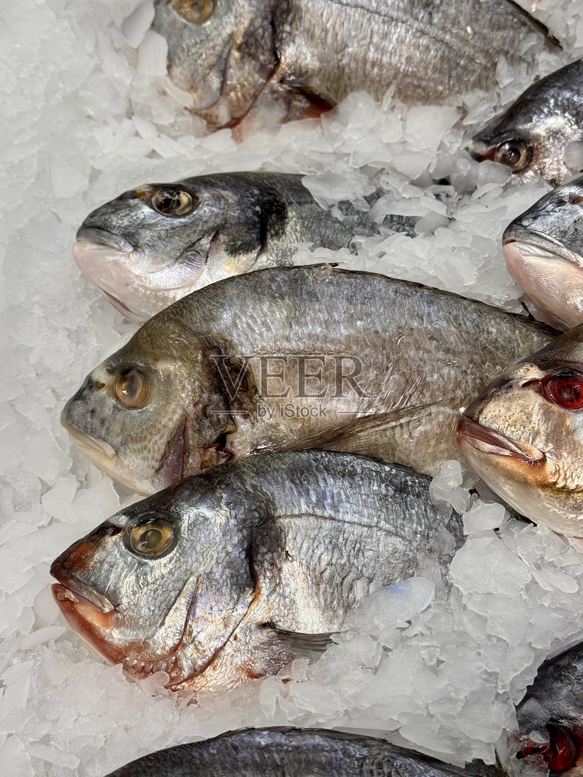新鲜冷藏的多拉多鱼躺在鱼店的浅冰上。健康饮食，富含欧米伽。特写镜头照片摄影图片