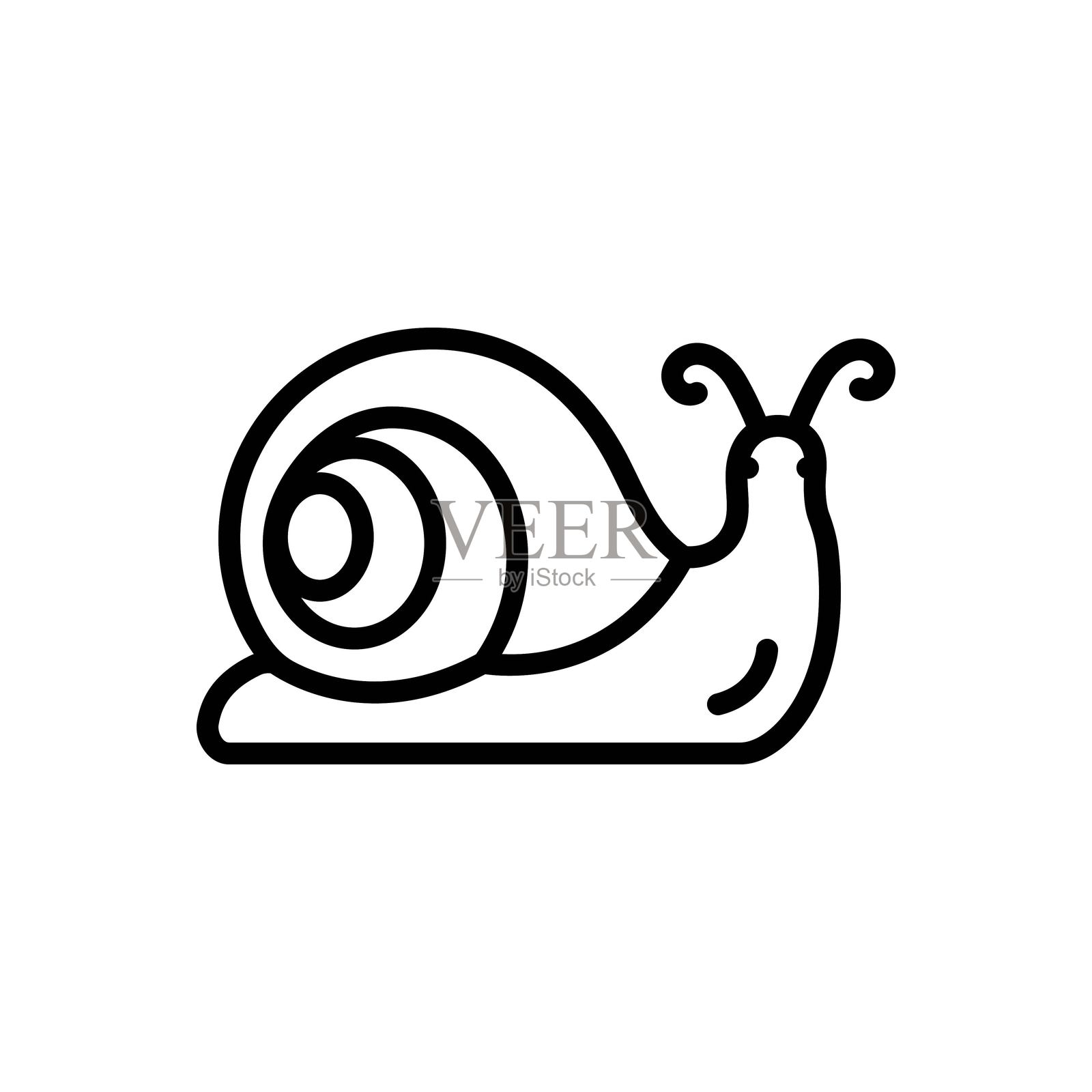 蜗牛的自然环境插画图片素材