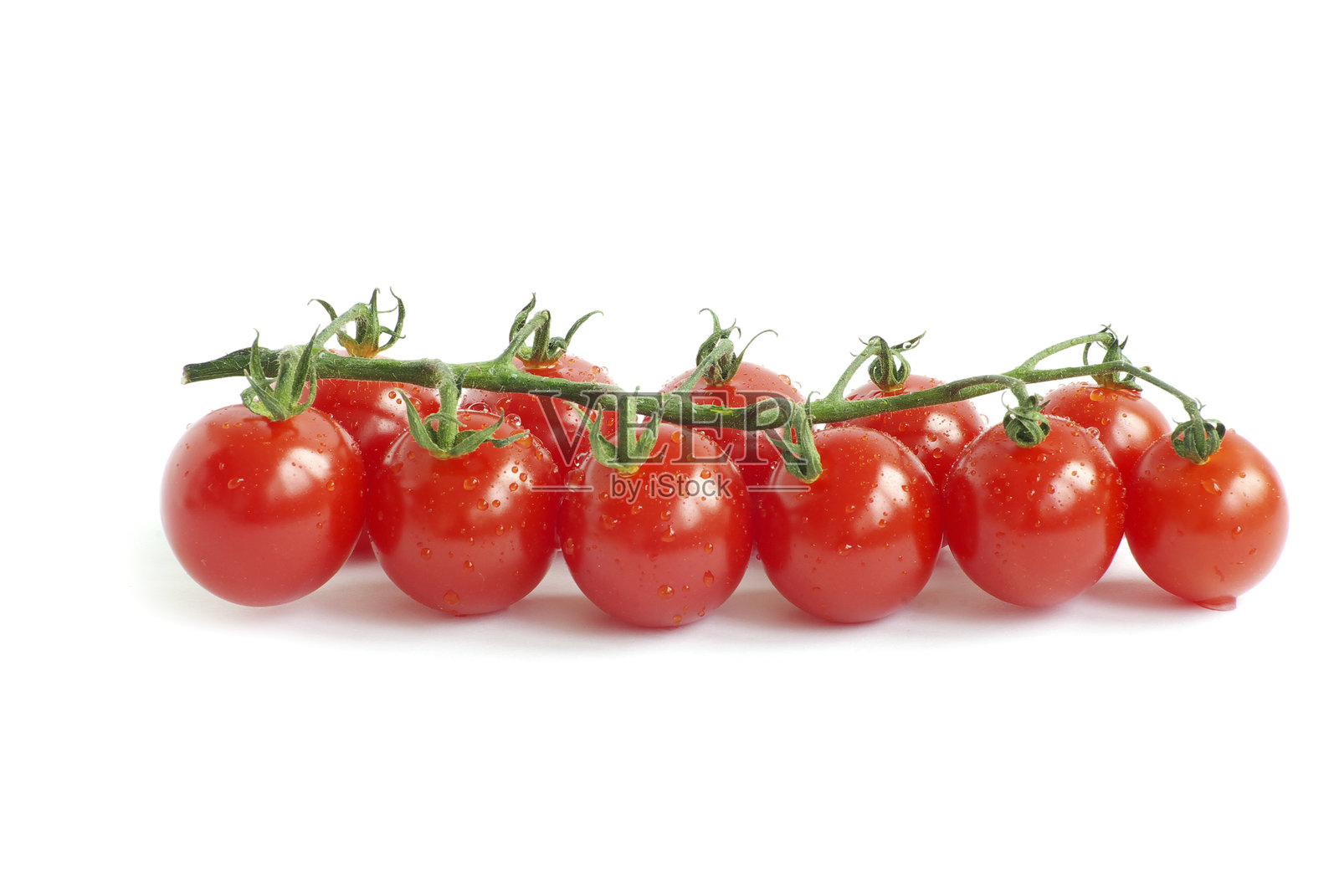 番茄照片摄影图片