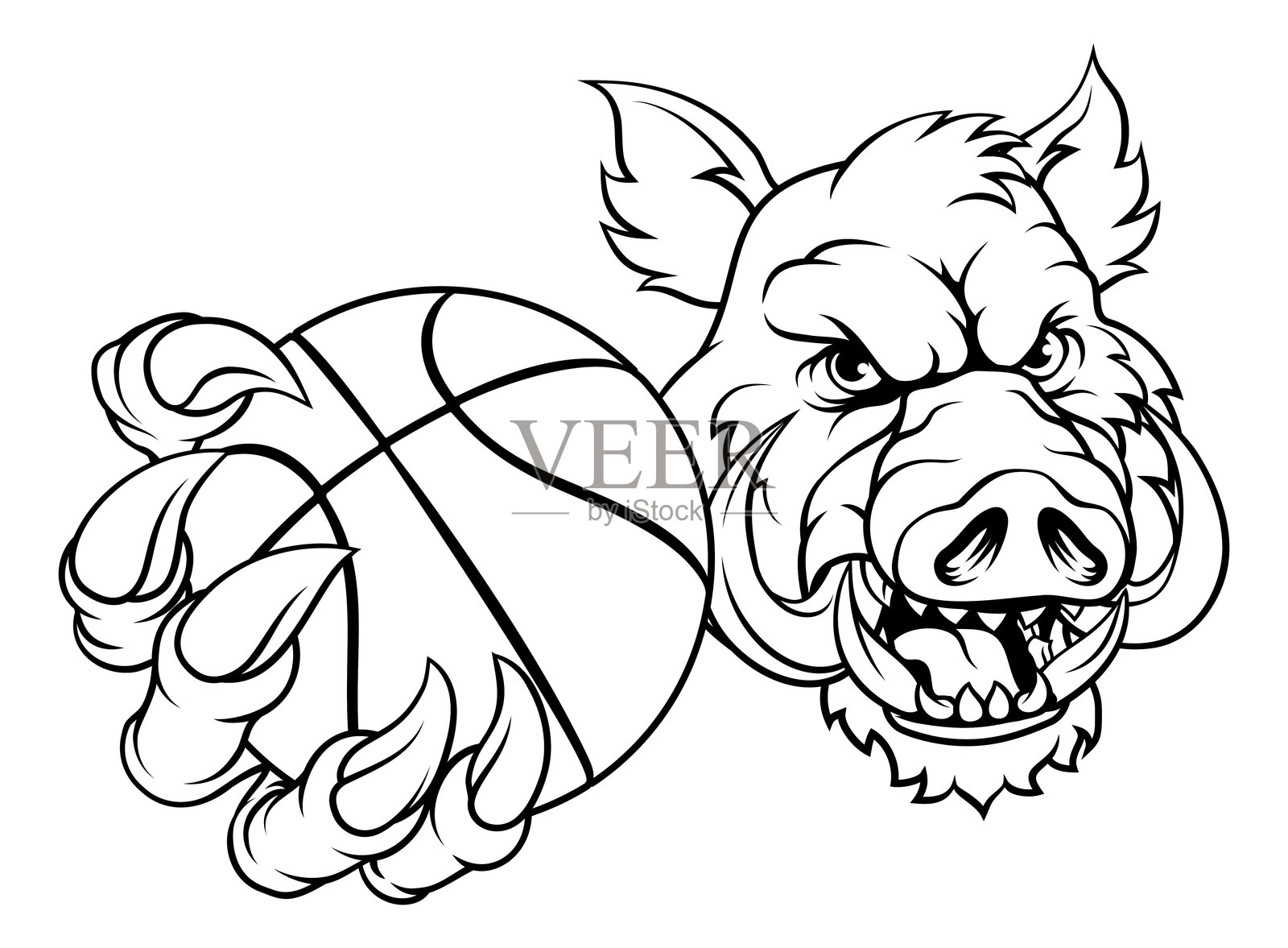 野猪 猪鬃野猪 战争猪 篮球吉祥物插画图片素材