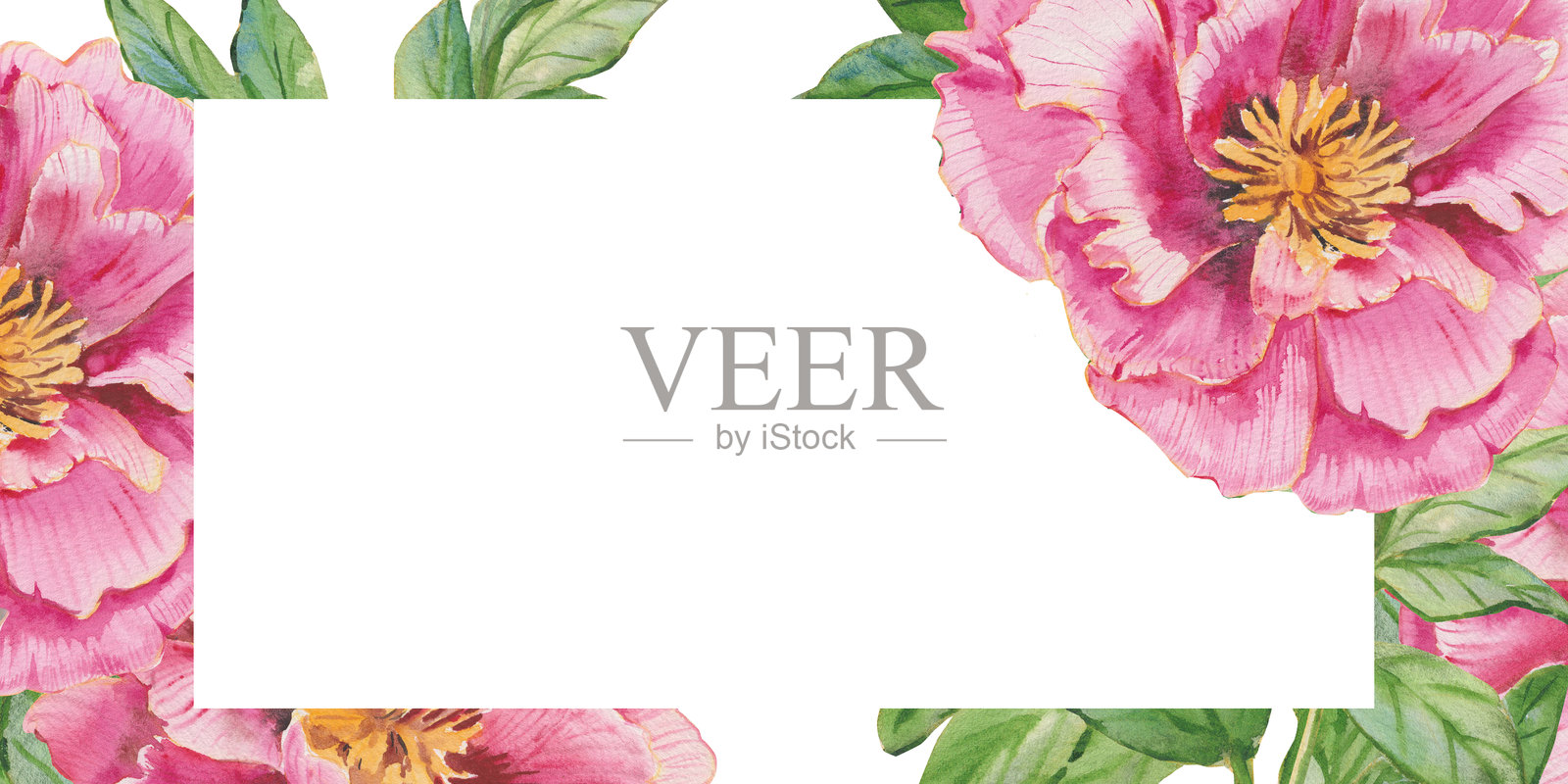 优雅的水彩粉色牡丹玫瑰矩形框，配以丰盛的绿色叶子。适用于婚礼邀请、品牌、化妆品、婚礼卡片和花卉设计项目的花卉模板，留有空白空间。插画图片素材