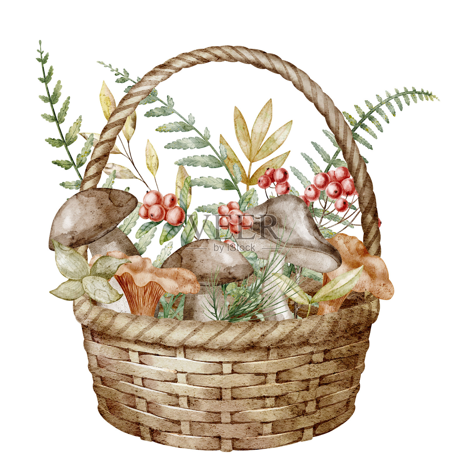 水彩画篮子里装满了蘑菇、浆果和树叶。秋季丰收的插图，包含真菌和红莓，适合季节性贺卡或森林主题的邀请函。插画图片素材